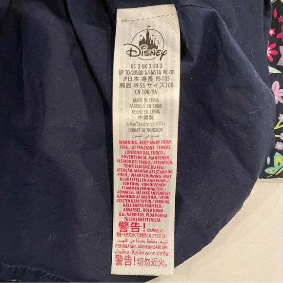 Disney Store Encanto Dress Girls 3T Butterflies Rainbows Toucans Capybaras Fall